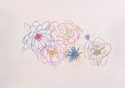 home-scroll-6