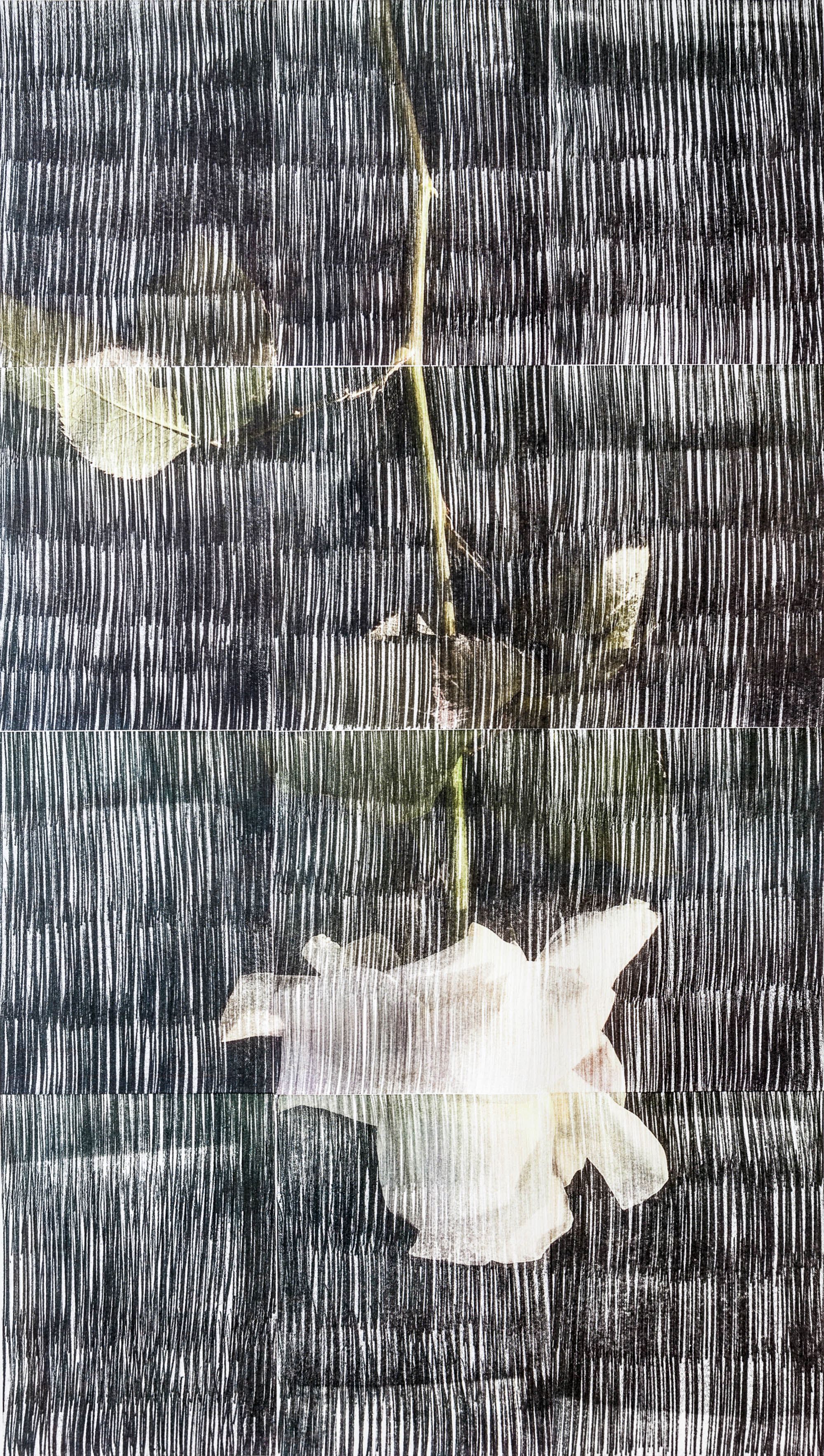 Sasan Abri, Untitled, 2020