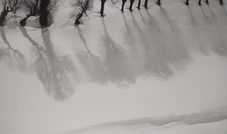Abbas Kiarostami, Untitled, 0