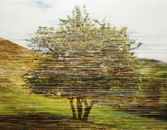 Neda Zarfsaz, Untitled, 2018