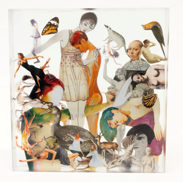 Photography, Farzaneh Ghadyanloo, Secret Garden, 2025, 82920