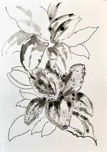 Shirin Karami Mofrad, Untitled, 2024, 0