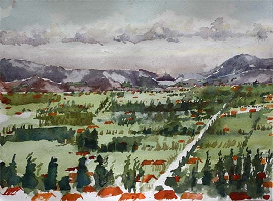 Saeid SaadatNia, Untitled, 0