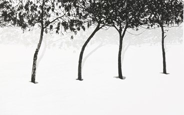 Photography, Abbas Kiarostami, Untitled, 2005, 75669