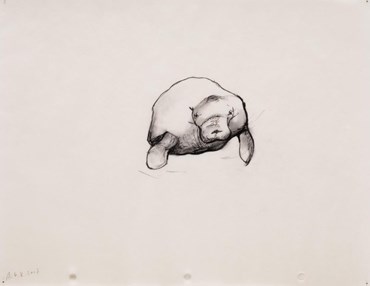 Drawing, Avish Khebrezadeh, Solace, So Old, So New – Manatee I, 2007, 78402