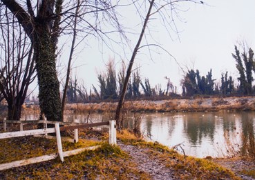 Photography, Abbas Gharib, Fog, 2024, 78403