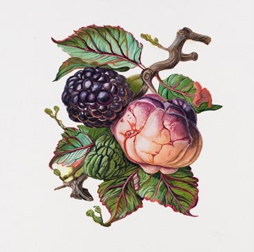 Painting, Elaheh Ramezani, The Liminal Arboretum: Anthocyanin Apple, 2026, 83741