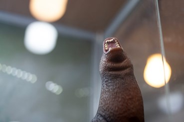 Photography, Nooshin Shafiei, Untitled, 2024, 79315