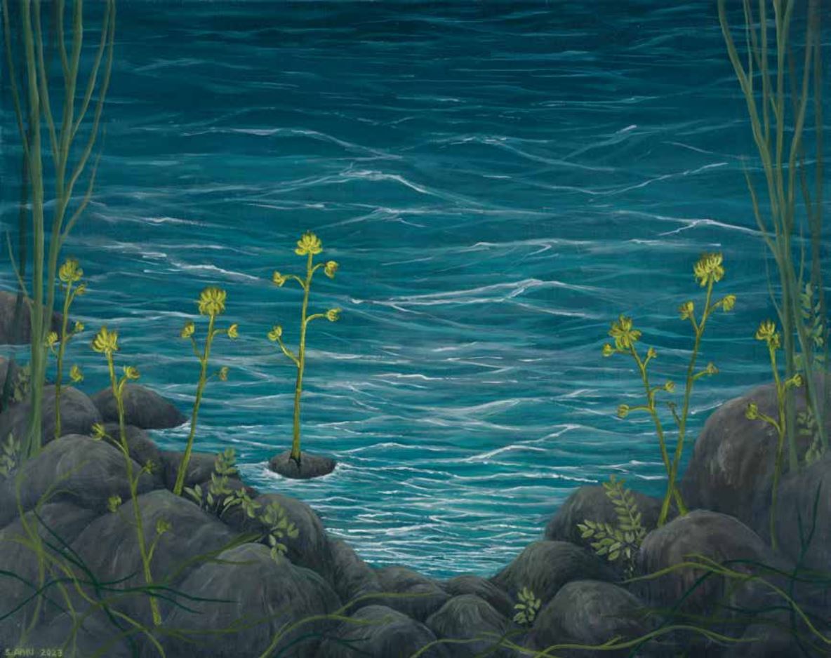 سمانه ابری، جوانه زدن، 1402