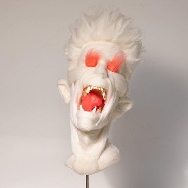 Sculpture, Salman Khoshroo, Wool Portrait with Hyena Teeth, 2021, 46875