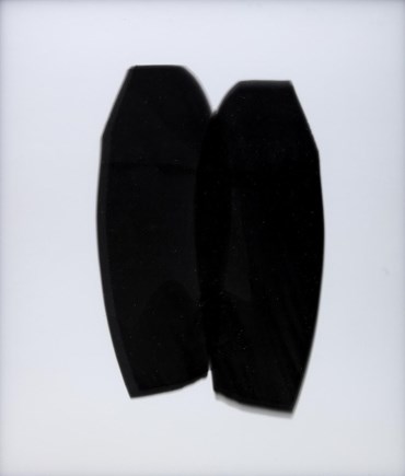 شری هوسپیان