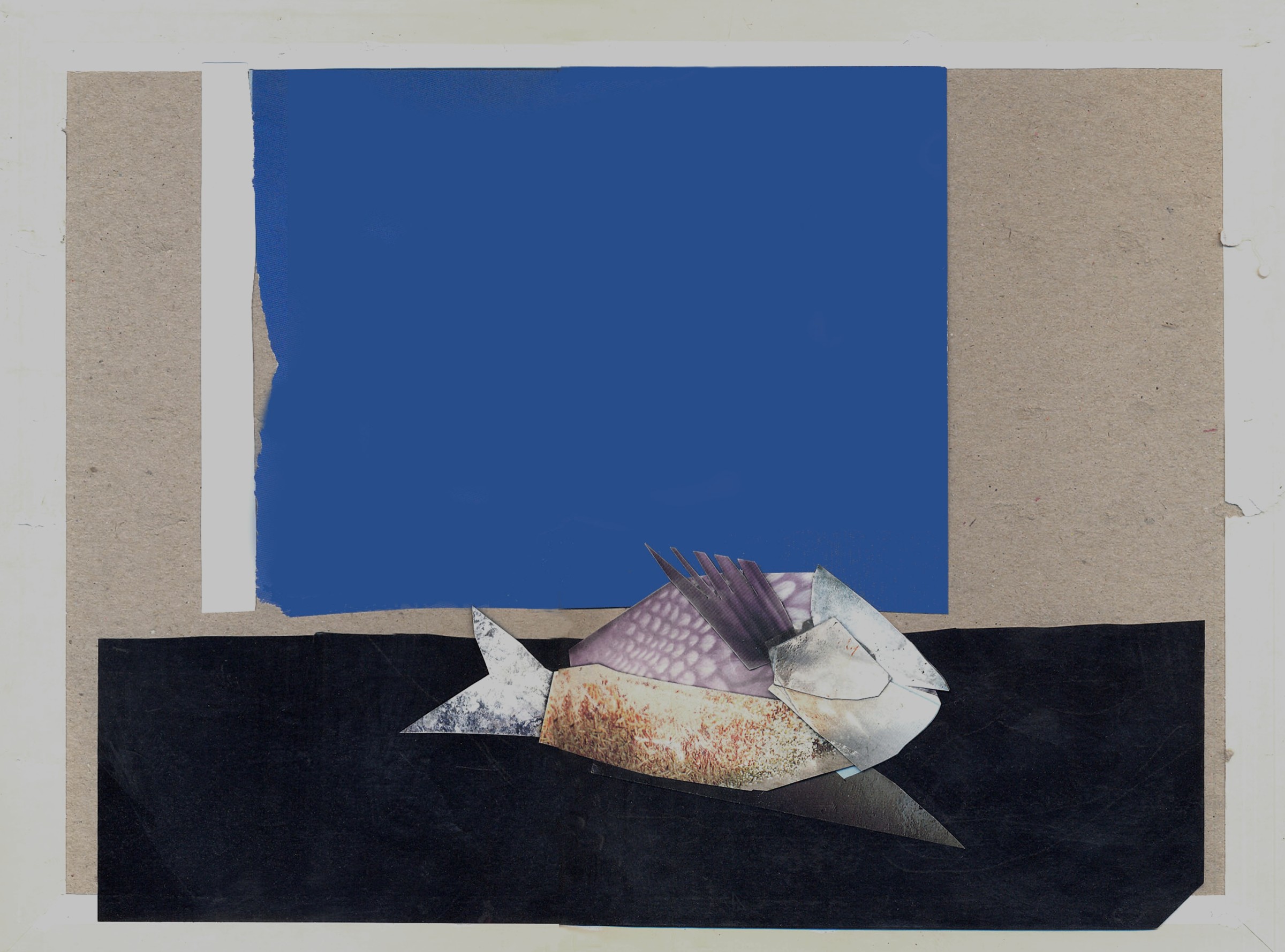 Mirmohamad Fatahi, Window and Dead Fish, 2017