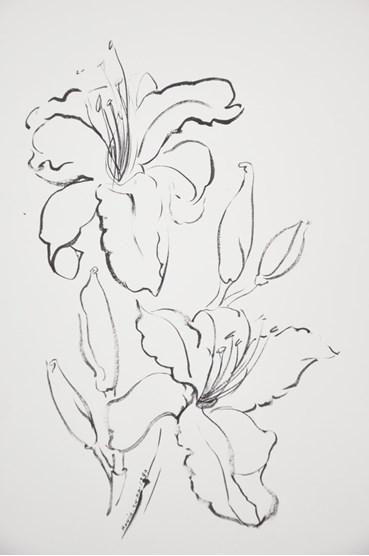 Drawing, Monir Shahroudy Farmanfarmaian, Lily 05, 1989, 52270