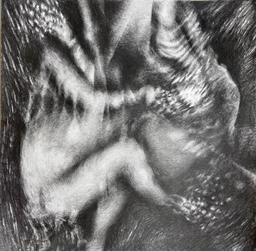 Sahar Nahavandi Nejad, Untitled, 0, 0