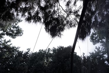 Rasa Hezarkhani, Untitled, 2021, 0