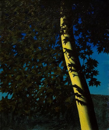 Painting, Anahita Darab Beigi, Untitled, , 82710