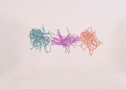 home-scroll-7