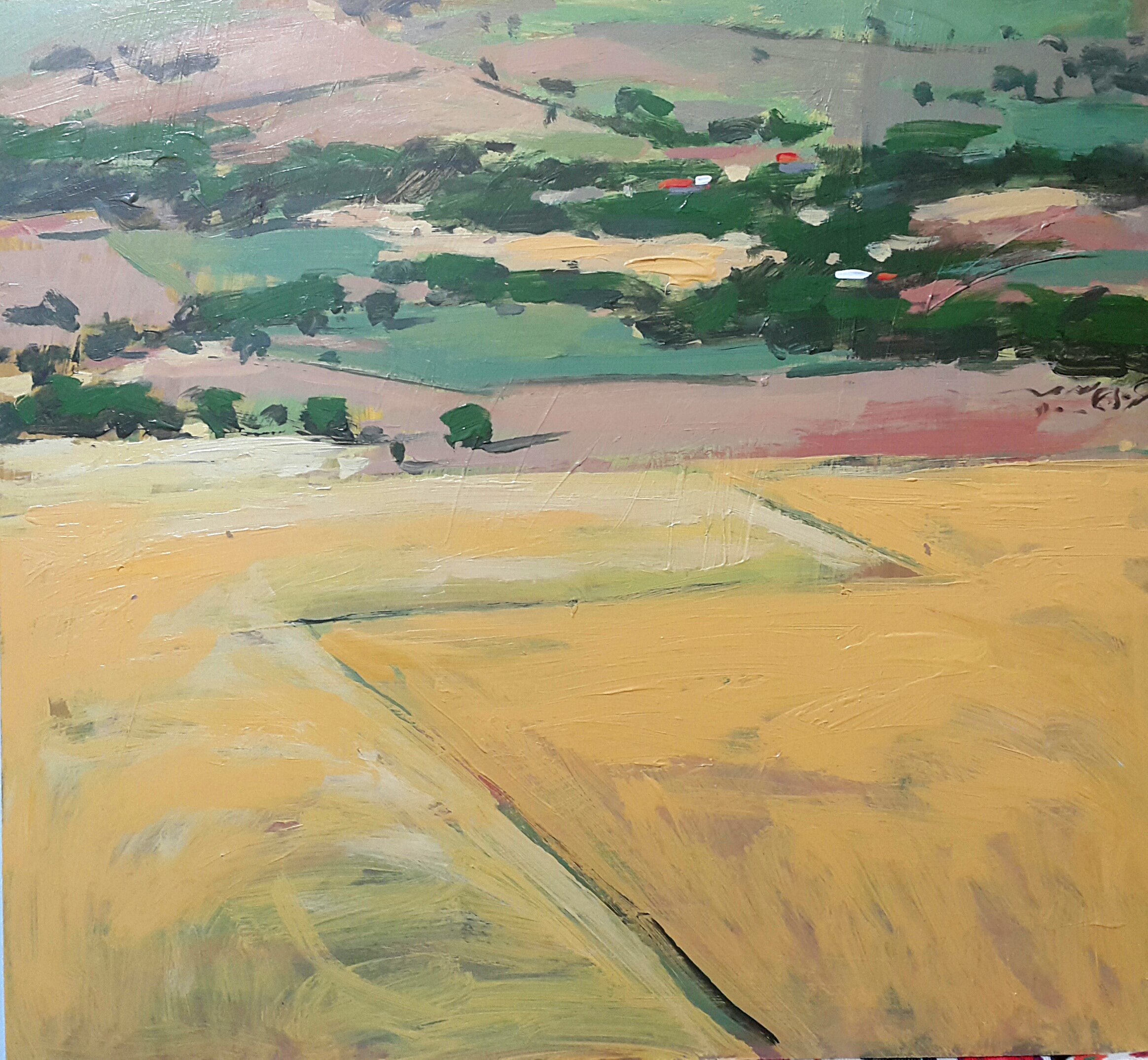 Arman Yaghoubpour, Nature, 2018