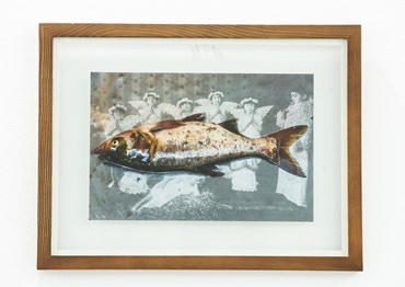, Nazli Abbasi, Untitled, , 83331
