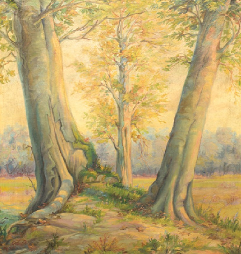 Mohammad Habib Mohammadi