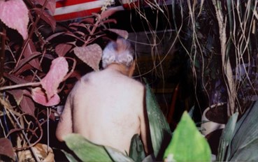 Photography, Pouya Parsamagham, Untitled, , 83793