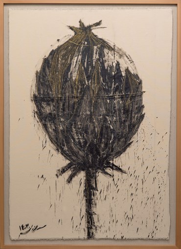 , Shiva Nuran, Cynarin, 2024, 76593