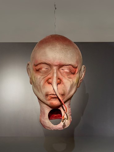 , Homa Ashraf Mansouri, Untitled, , 80554