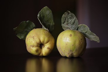 Photography, Hoda Amin, Untitled, , 76460