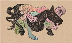 home-scroll-7
