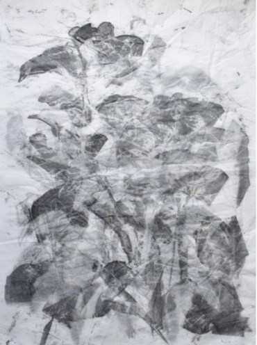 , Sima Bagherzadeh, Untitled, 2024, 72012