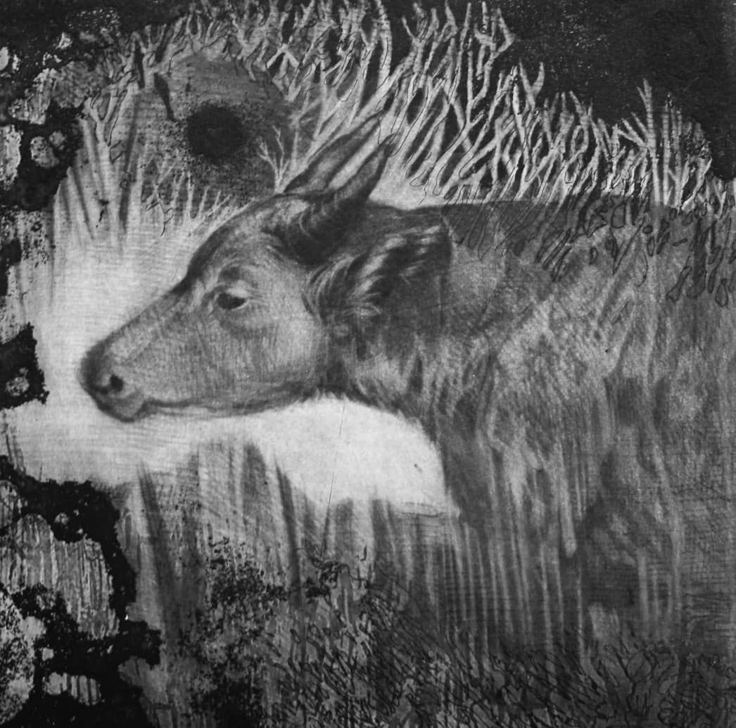 Ladan Zolfaghari, Untitled, 2017