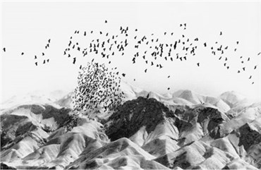 Print and Multiples, Abbas Kiarostami, Untitled, 2004, 5029