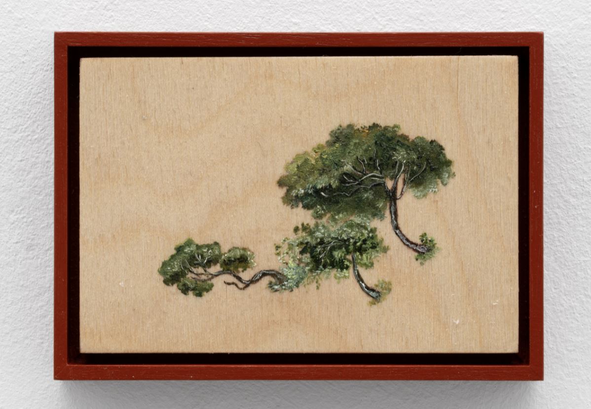 Sanam Khatibi, Shrub II, 2025