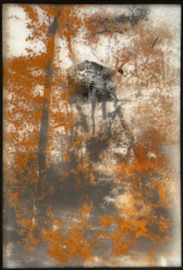 , Nicolas Daubanes, Palombrière 06, 2024, 74563