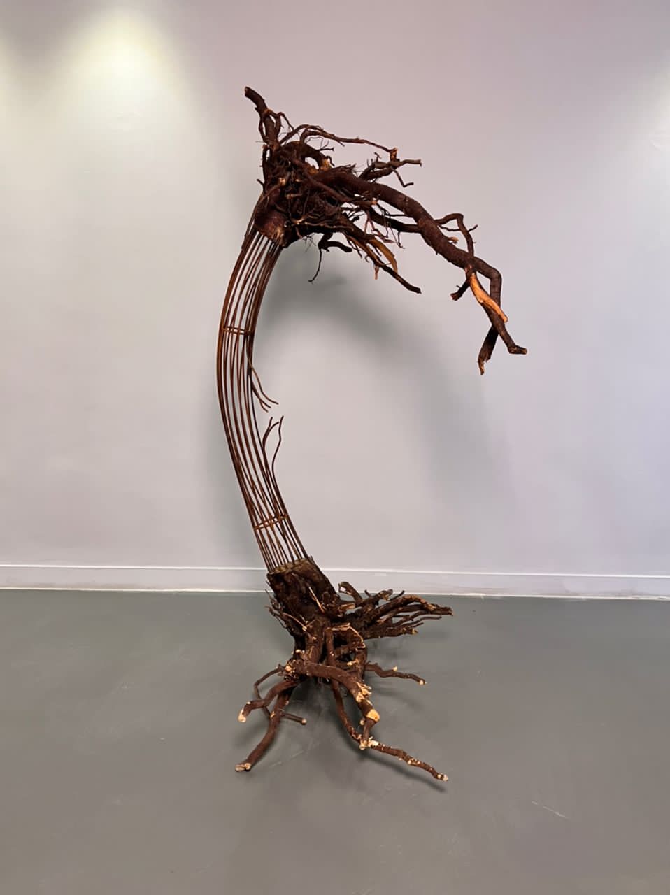 Peyman Bakhshi, Untitled, 0