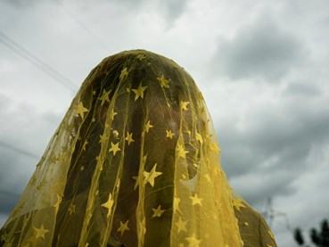 Photography, Newsha Tavakolian, Untitled, 2024, 80213