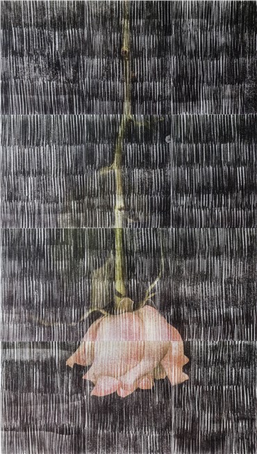 Printmaking, Sasan Abri, Untitled, 2020, 24148