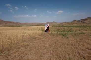 Leila Saboori, Mrk III, 2022, 0