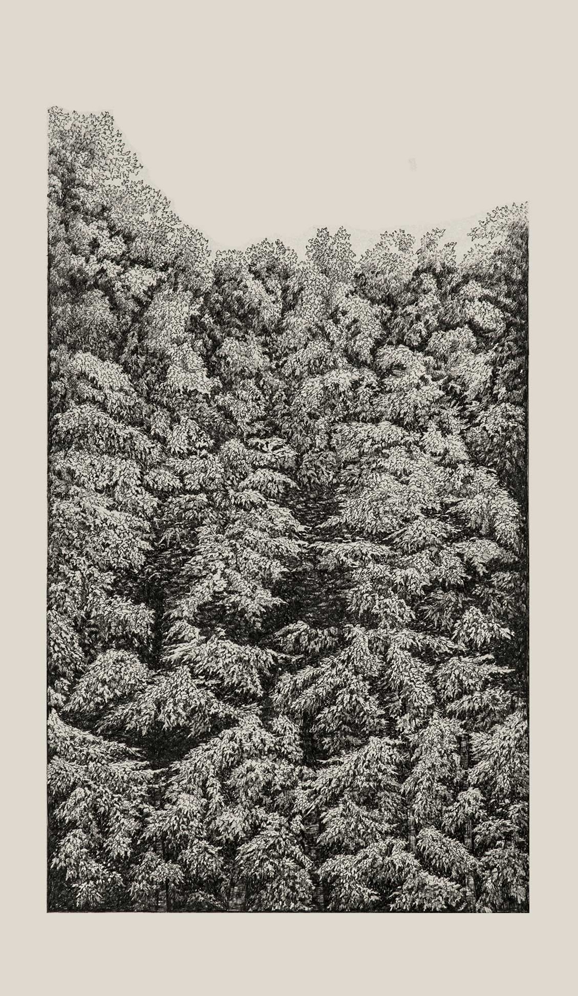 Mahsa Arabzadeh, Untitled, 2021