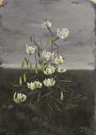 , Mohadese Eivazkhani, Untitled, , 83866