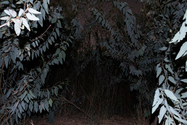 Forugh Taj, Untitled, Number 13 of 41, 2024, 0