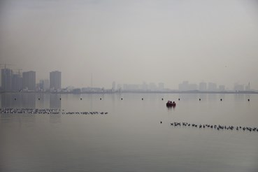 Photography, Hoda Amin, Untitled, , 76493