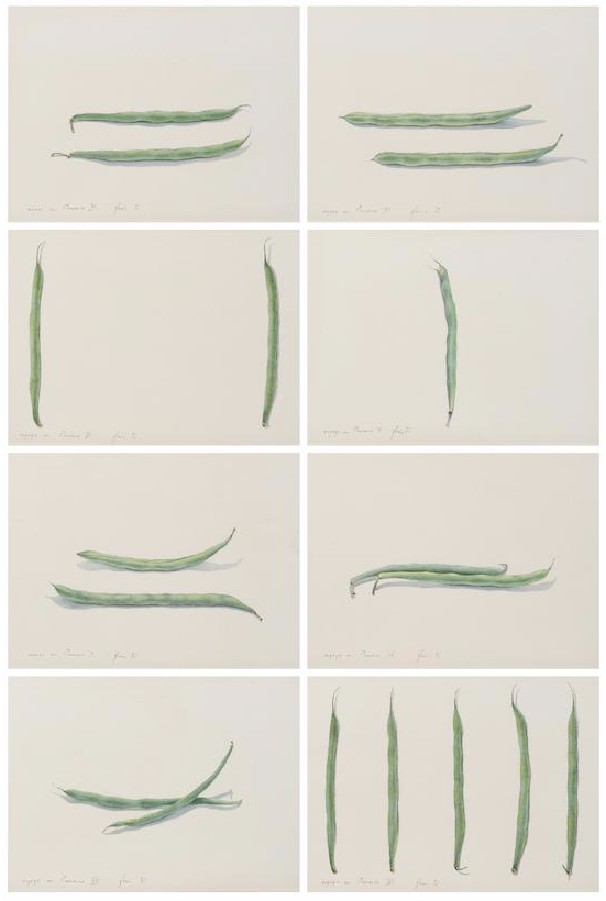 YZ Kami, Voyage En Provence, 1982