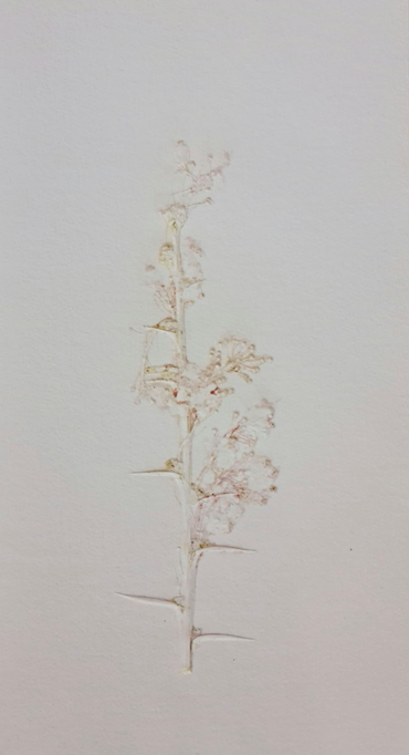 Heecha, Untitled, 0, 0