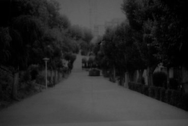 Nasrin Larijani, Night, Saei Park, 05:09:01 P.M, 2023, 0