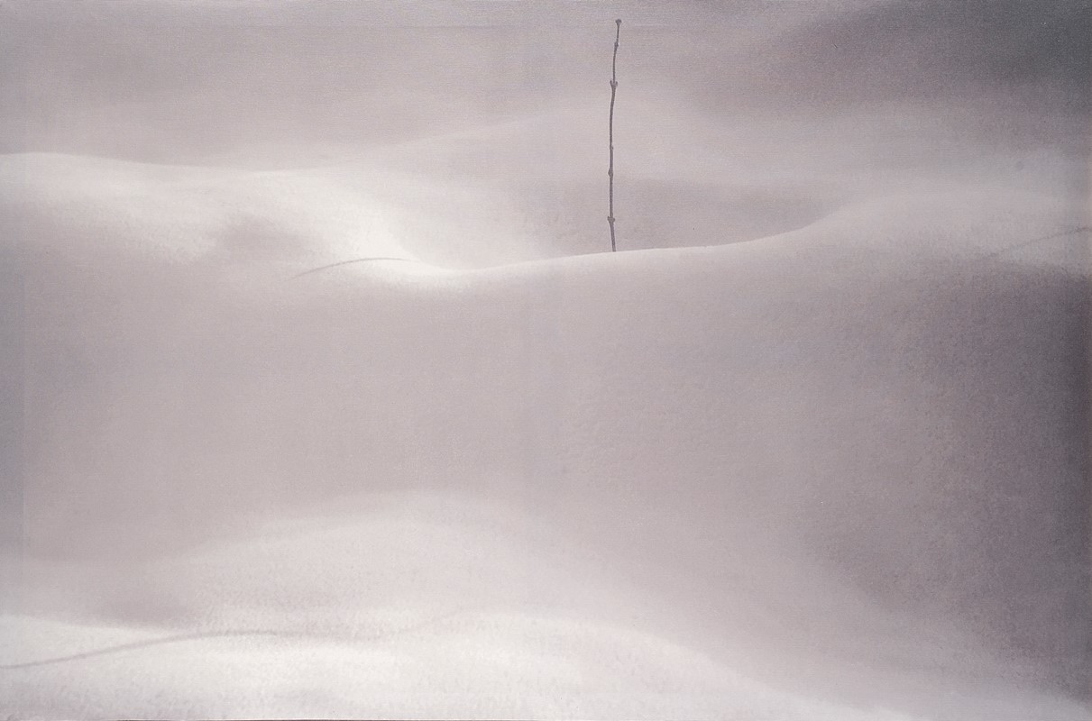 Abbas Kiarostami, Untitled, 2002