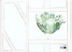 home-scroll-5