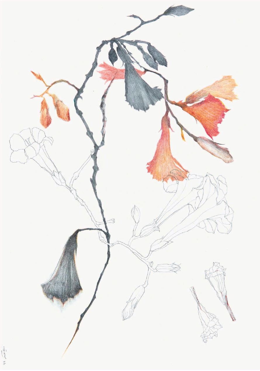 Nazila Moghadam, Untitled, 2020