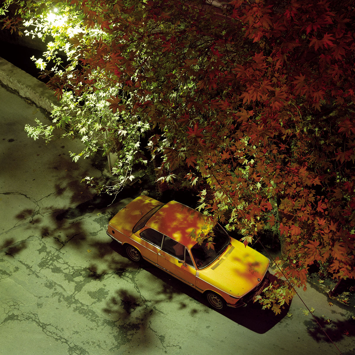Shahryar Tavakoli, Machin Narenji, 2000