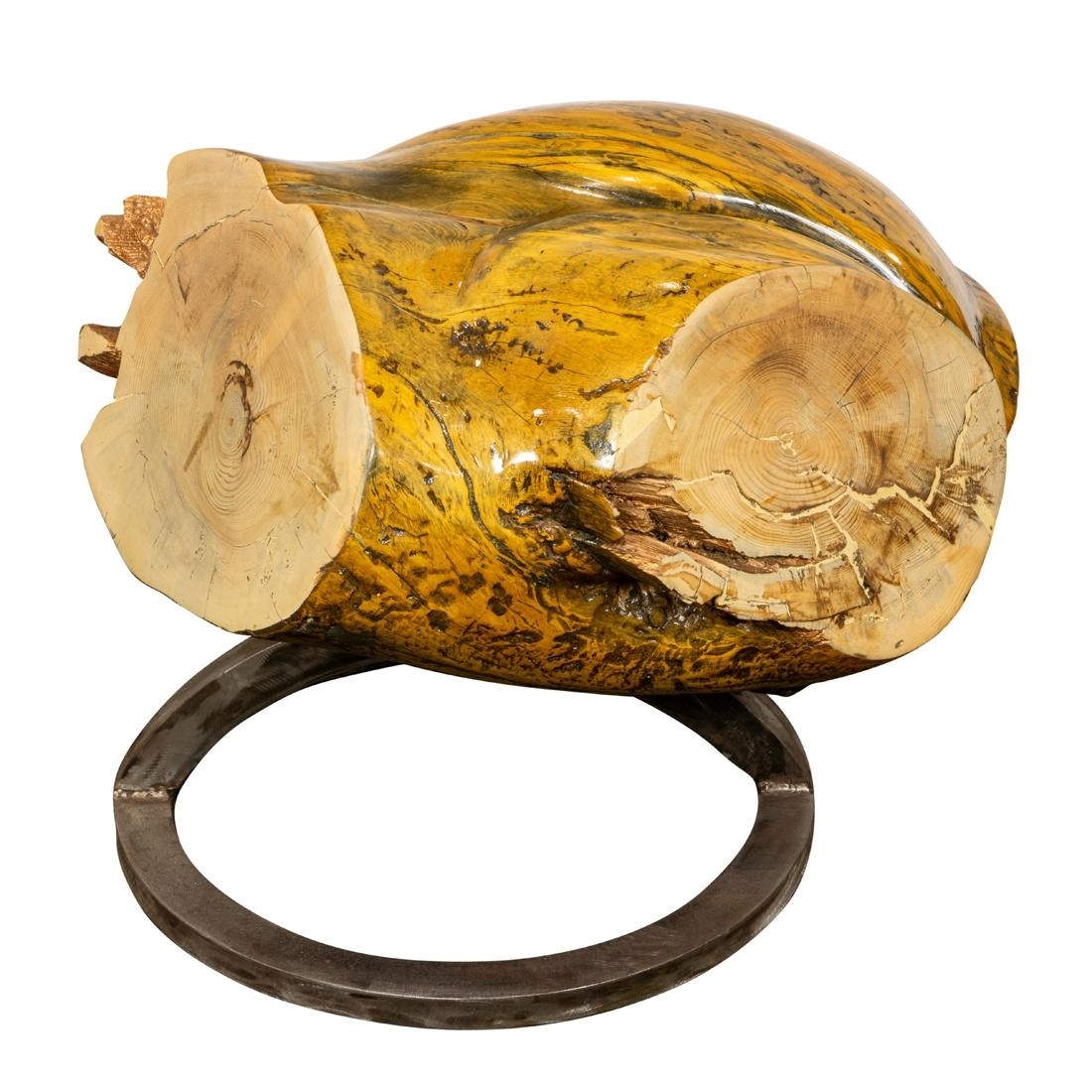 کتایون امجدی